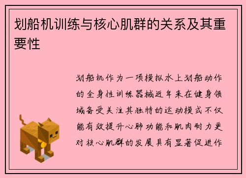 划船机训练与核心肌群的关系及其重要性